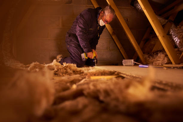 Types of Insulation We Offer in Clarkton, MO